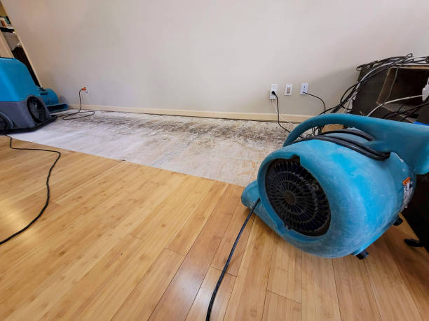 Professional Structural Drying technician working in Silver Springs, FL